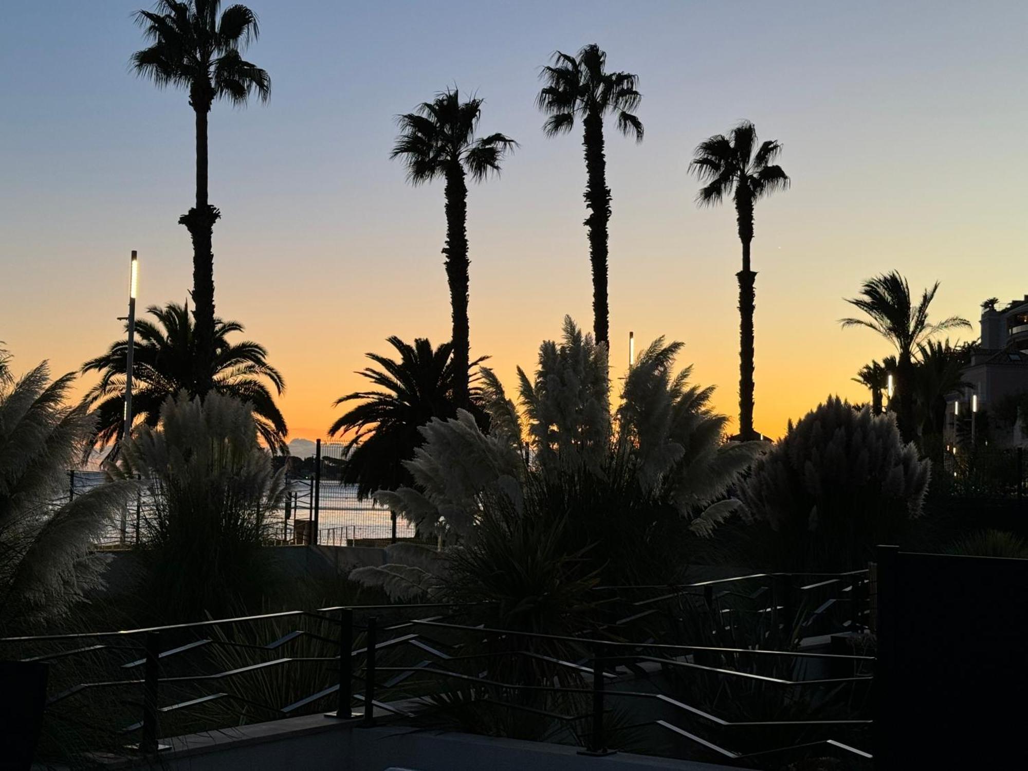 T3 Neuf Avec Terrasse Et Jardin Face A La Mer Bandol Exterior foto
